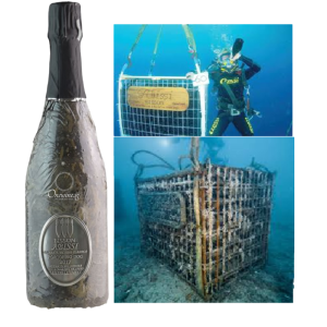Bottle of Bisson Abissi Spumante Portofino DOC Metodo Classico 2015 sparkling wine