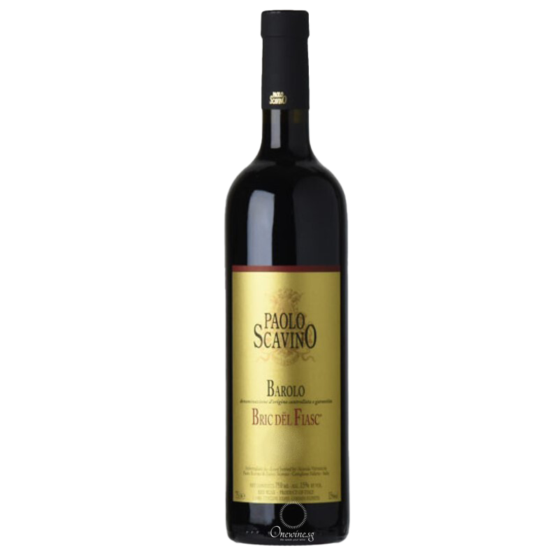 Paolo Scavino Barolo Bric del Fiasc 2013