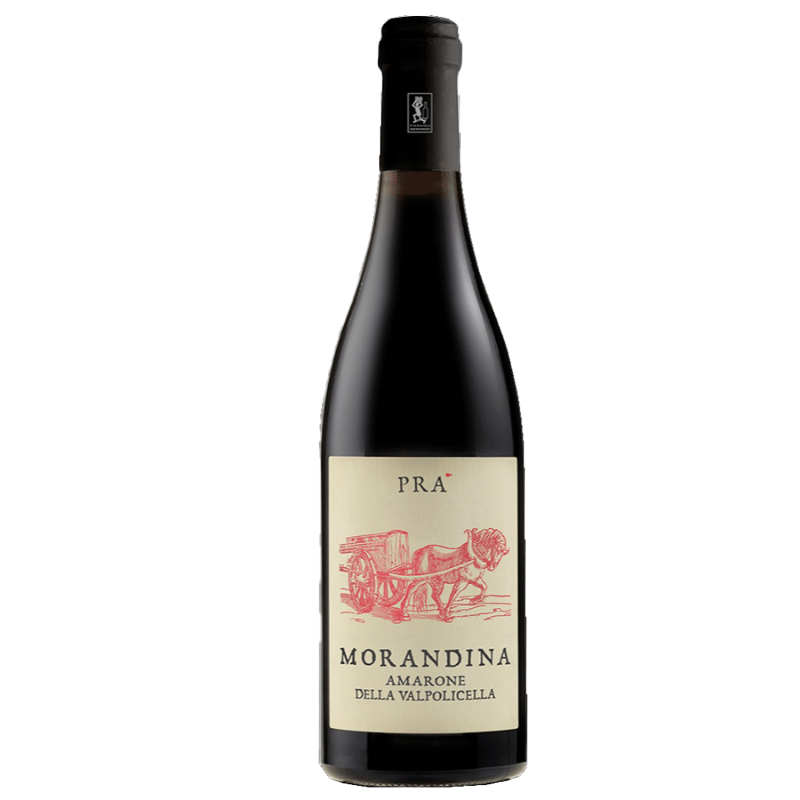 Pra Amarone Morandina 2016