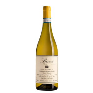 Bottle of Bucci Verdicchio Classico Superiore Castelli di Jesi 2021 white wine Caption: Fresh and mineral Verdicchio from the hills of Jesi.