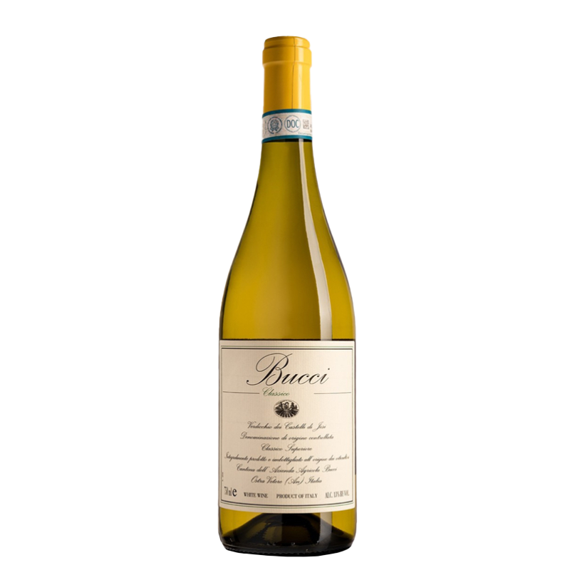 Bottle of Bucci Verdicchio Classico Superiore Castelli di Jesi 2021 white wine Caption: Fresh and mineral Verdicchio from the hills of Jesi.